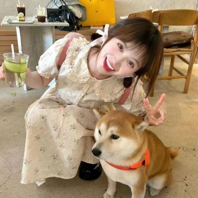 庇护棕榈树下